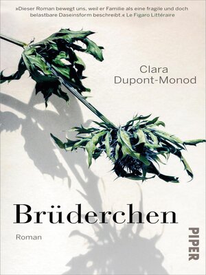 cover image of Brüderchen